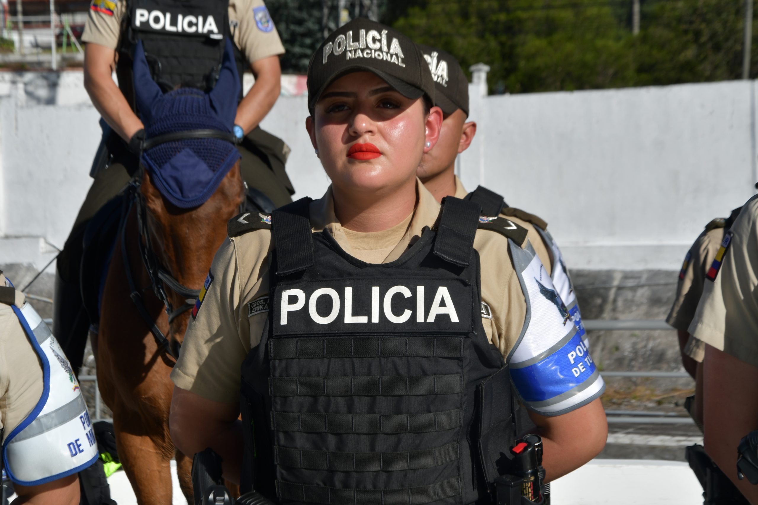 Formulario 1800 DELITOS