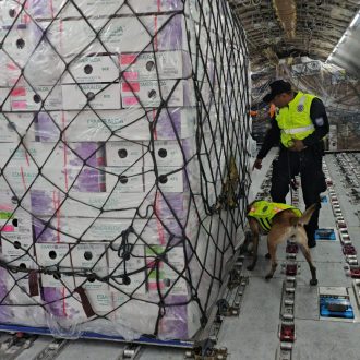 INSPECCIÓN DE CARGA