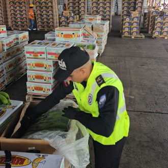 INSOECCIONES INTRUSIVAS