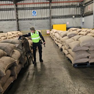 INSPECCIONES INTRUSIVAS