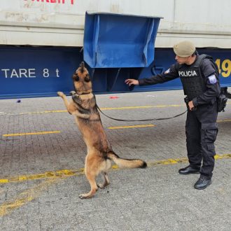 OPERATIVOS DISUASIVOS