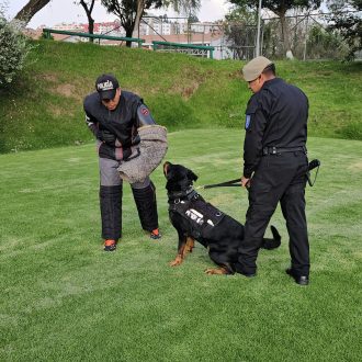 ENTRENAMIENTO CANES DE CONTROL DEL ORDEN